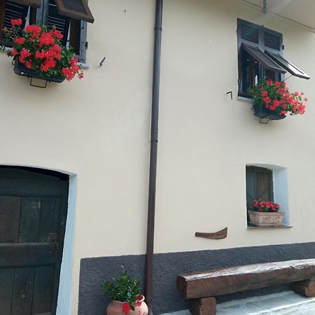 Agriturismo U'Spigu Nonna Annetta Nasino Eksteriør billede