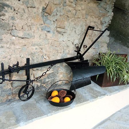 Agriturismo U'Spigu Nonna Annetta Nasino Eksteriør billede
