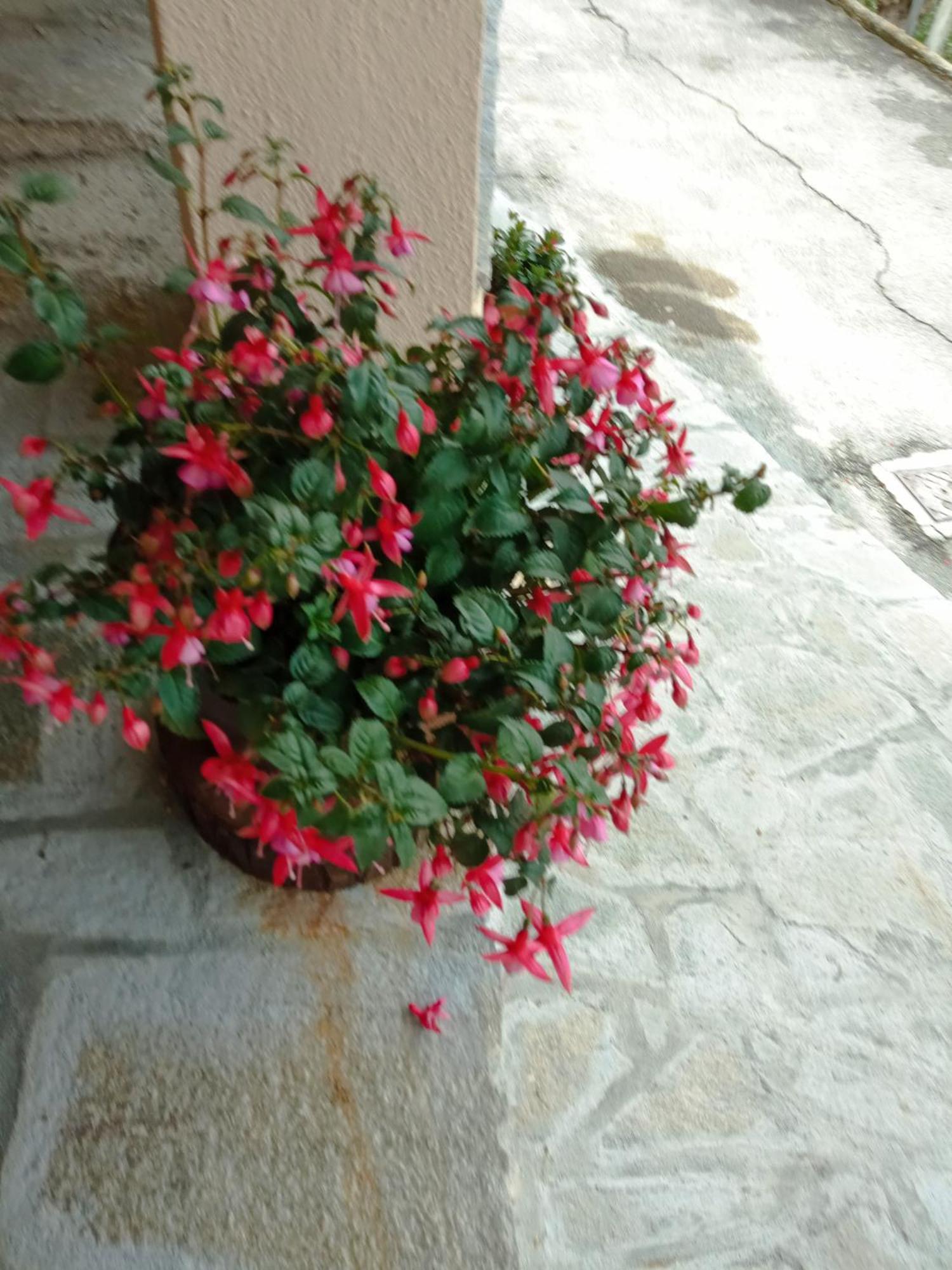 Agriturismo U'Spigu Nonna Annetta Nasino Eksteriør billede