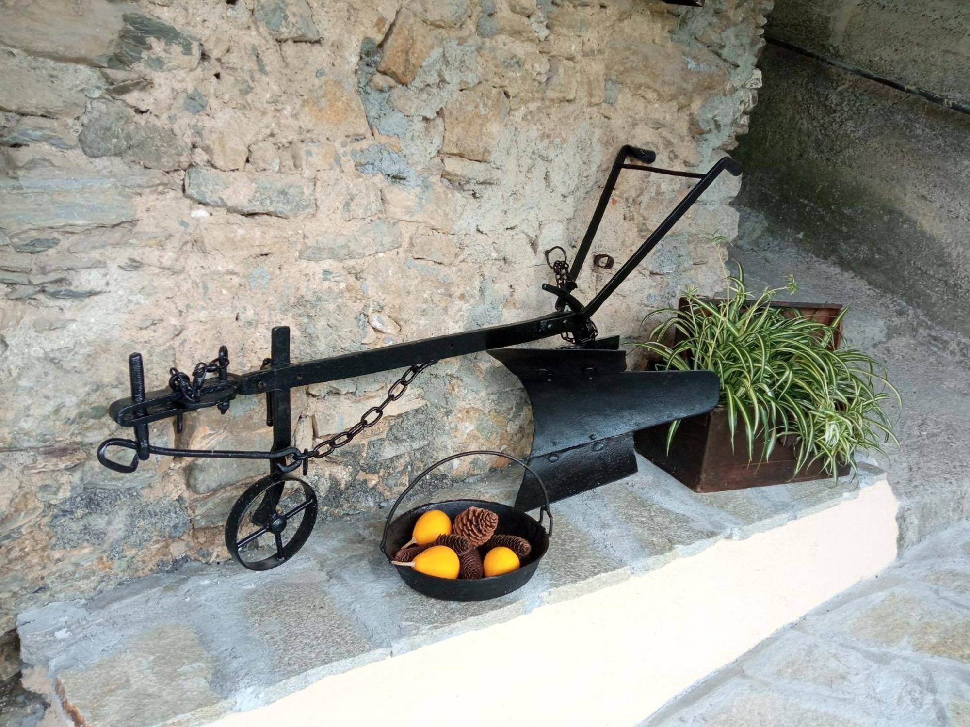 Agriturismo U'Spigu Nonna Annetta Nasino Eksteriør billede
